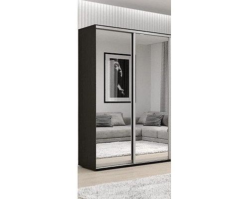 Шафа-купе Стандарт фасади (2 Дзеркала)