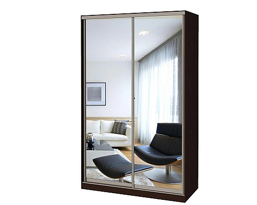 Шафа-купе Стандарт фасади (2 Дзеркала)