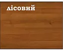 Орех лесной 